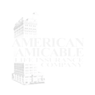 company image for american amicable
